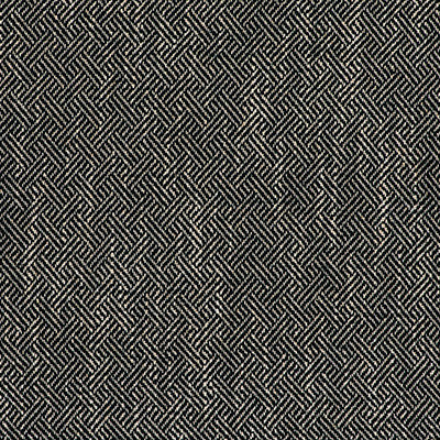Enea Verde Botella by Gaston Y Daniela Designer Fabric