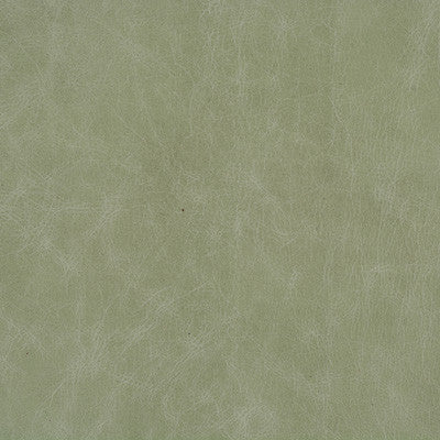 L-Cuero-Eucalyptus by Kravet Design Designer Fabric