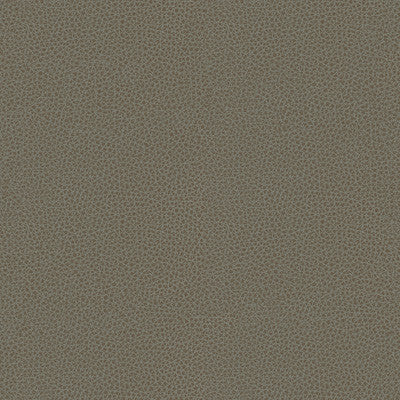Kravet Smart Rigel-11 by Kravet Design Designer Fabric