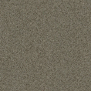 Kravet Smart Rigel-11 by Kravet Design Designer Fabric