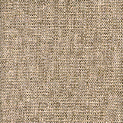 Paraggi Wheat by Kravet Couture Designer Fabric