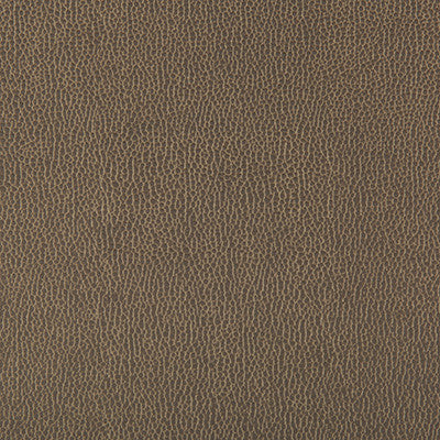 Lenox Elephant by Kravet Contract Designer Fabric