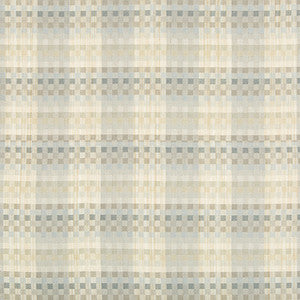 Rhys Check Cornflower by Kravet Design Designer Fabric