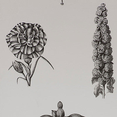 Guayana Onyx by Gaston Y Daniela Designer Wallcovering