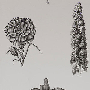 Guayana Onyx by Gaston Y Daniela Designer Wallcovering