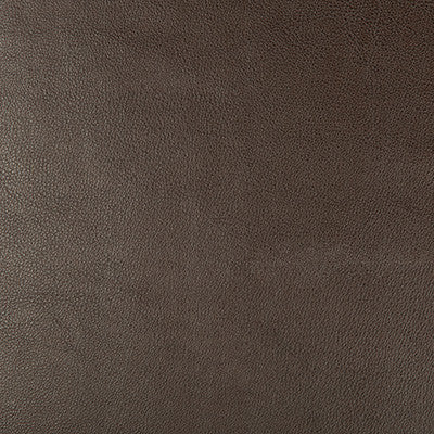 Kravet Design Dust-66 by Kravet Design Designer Fabric