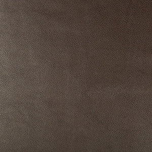 Kravet Design Dust-66 by Kravet Design Designer Fabric