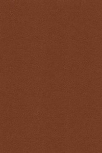 Kravet Design Desire-6 by Kravet Design Designer Fabric