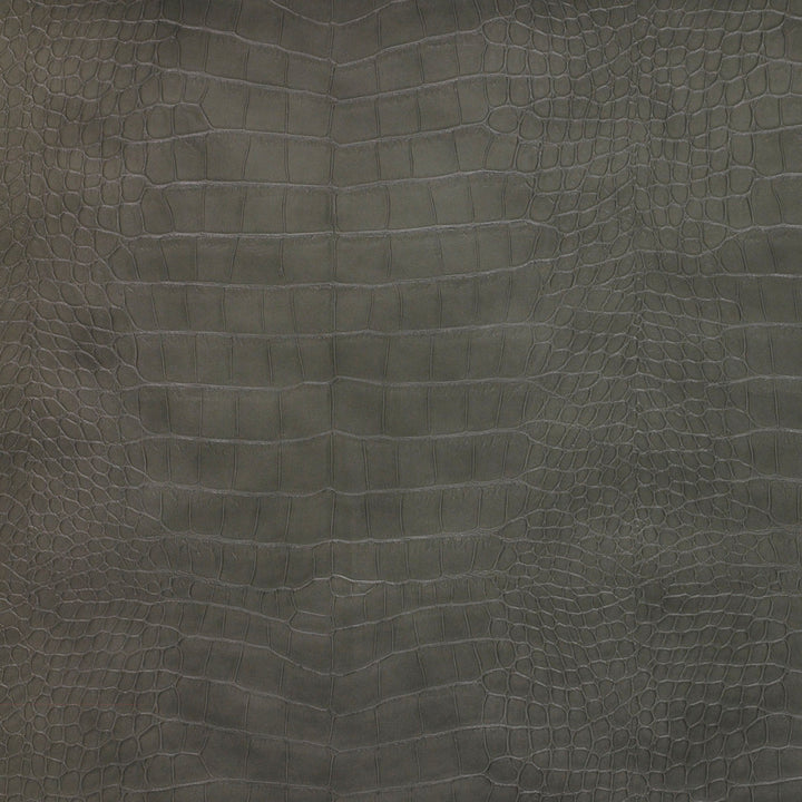 Kravet Design Ankora-21 by Kravet Design Designer Fabric