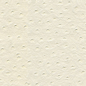 Kravet Design Senna-101 by Kravet Design Designer Fabric