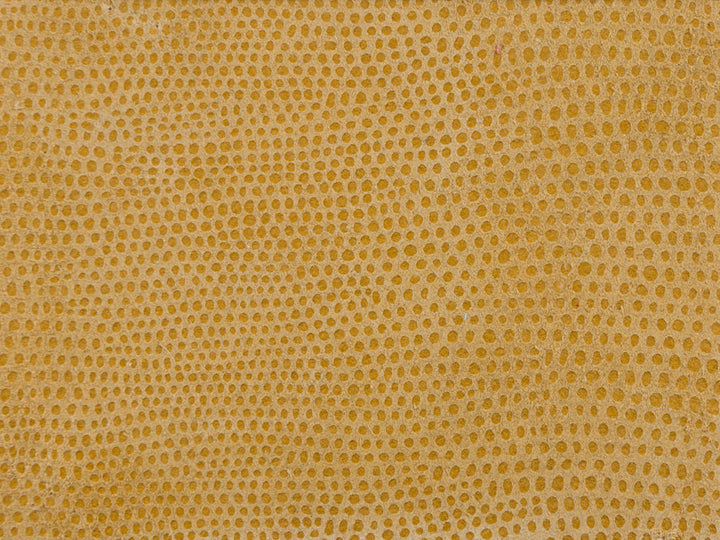 L-Vavoom Coin by Kravet Design Designer Fabric