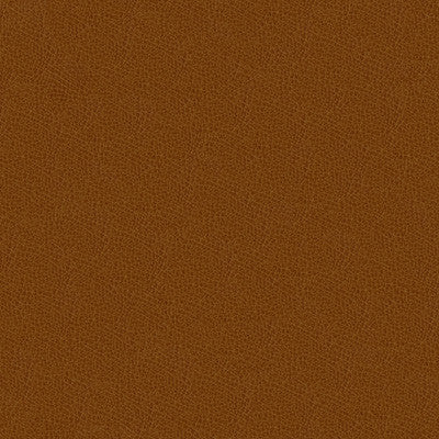 Kravet Design Grana-616 by Kravet Design Designer Fabric