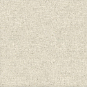 Trek Linen by Kravet Couture Designer Fabric