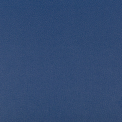Syrus Admiral by Kravet Contract Designer Fabric