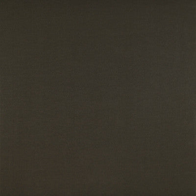 Recoletos Chocolate by Gaston Y Daniela Designer Fabric