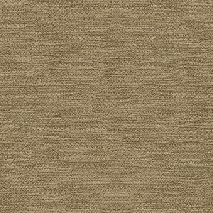Kravet Smart 33001-2121 by Kravet Smart Designer Fabric