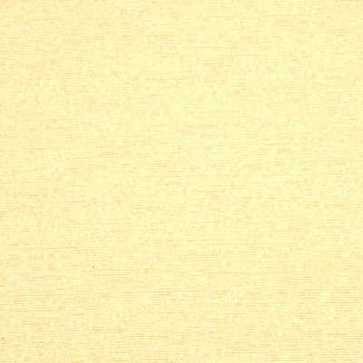 Avaron Champagne by Threads Designer Fabric