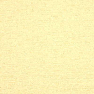 Avaron Champagne by Threads Designer Fabric
