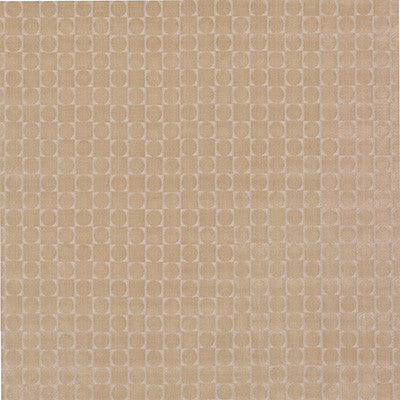 Luigi Crudo by Gaston Y Daniela Designer Fabric