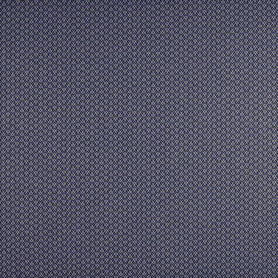 Chueca Azul/Marino by Gaston Y Daniela Designer Fabric