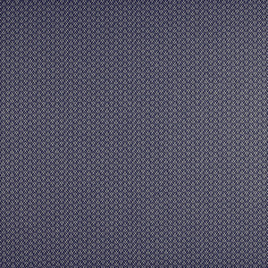 Chueca Azul/Marino by Gaston Y Daniela Designer Fabric