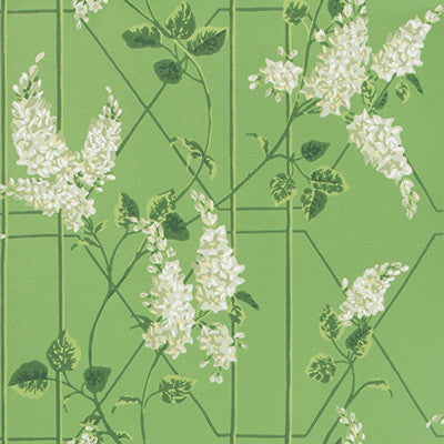 Wisteria Sage/Leaf Green by Cole & Son Designer Wallcovering