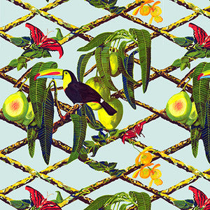 Tucan Original by Gaston Y Daniela Designer Wallcovering