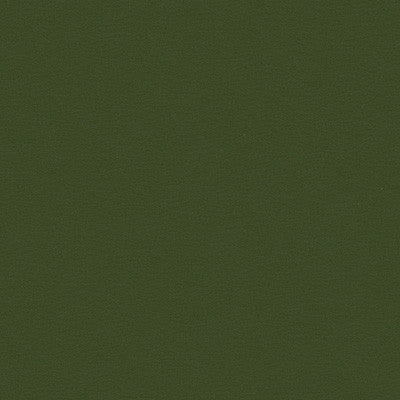 Kravet Smart Newt-303 by Kravet Smart Designer Fabric