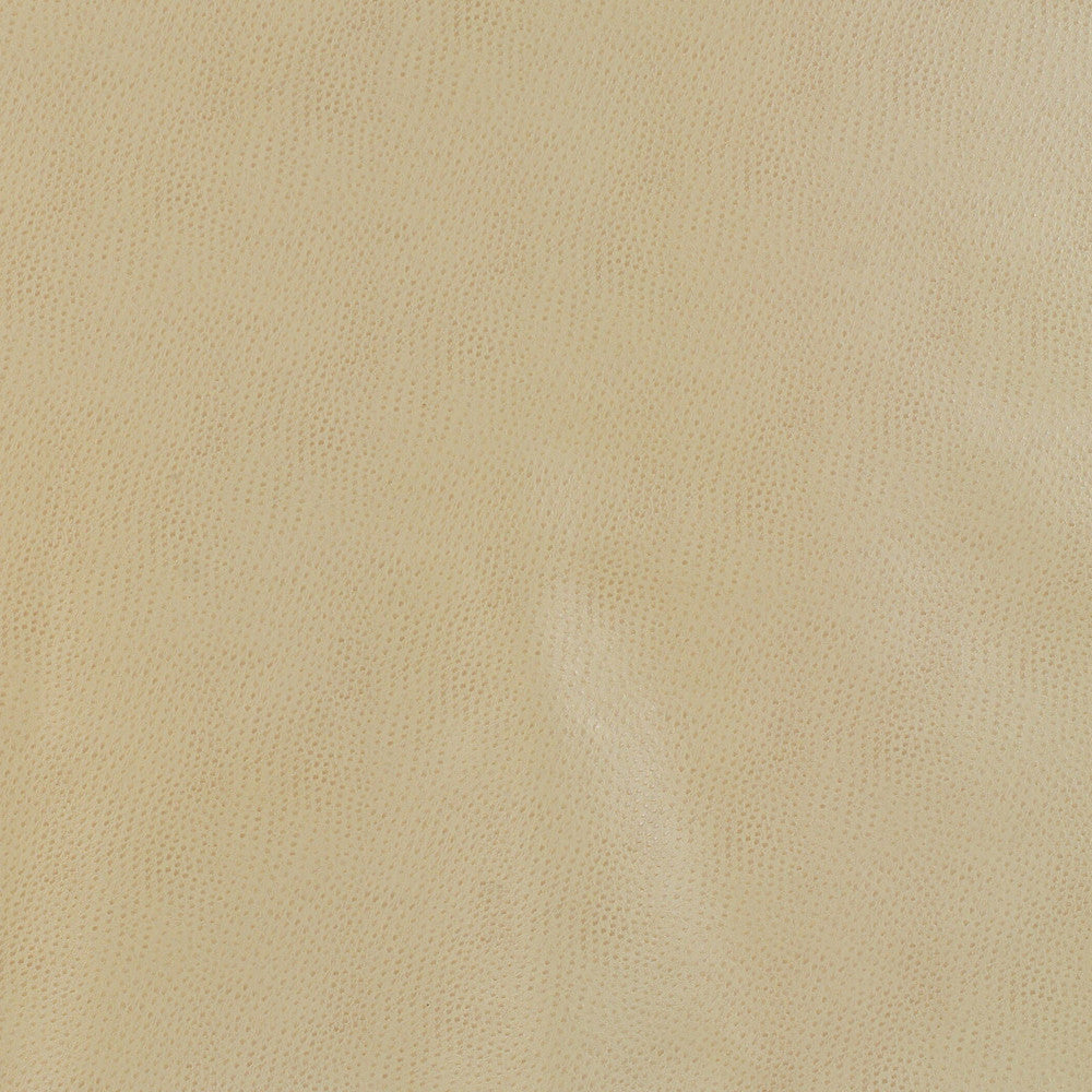 Kravet Design Delaney-16 by Kravet Design Designer Fabric