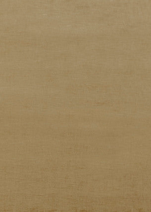 Meridian Velvet Camel by Threads Designer Fabric