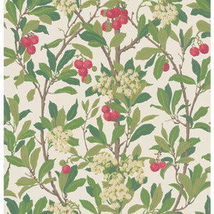 Strawberry Tree Scarlet & Ivory by Cole & Son Designer Wallcovering