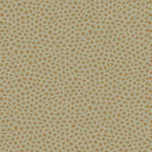 Senzo Spot Olive by Cole & Son Designer Wallcovering