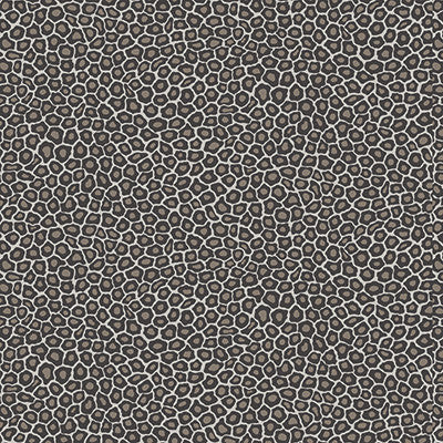 Senzo Spot Black & White by Cole & Son Designer Wallcovering