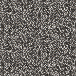Senzo Spot Black & White by Cole & Son Designer Wallcovering