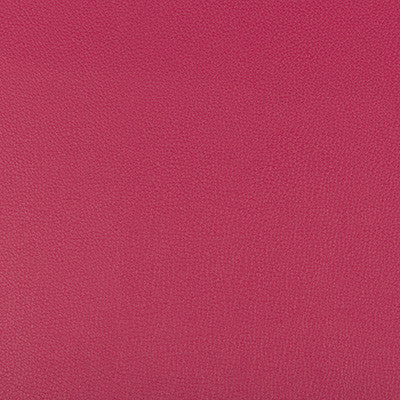 Syrus Fuschia by Kravet Contract Designer Fabric