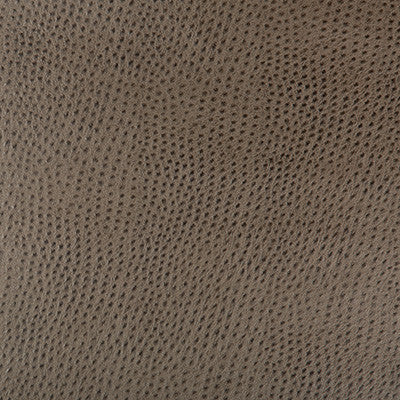 Kravet Design Hubble-106 by Kravet Design Designer Fabric