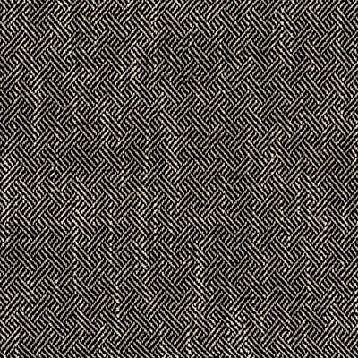 Enea Negro by Gaston Y Daniela Designer Fabric