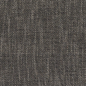Enea Negro by Gaston Y Daniela Designer Fabric