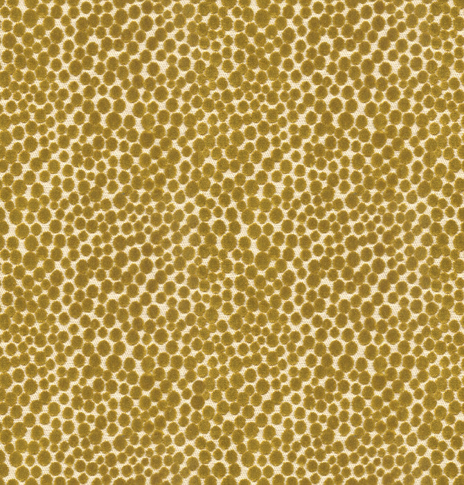 Lembury Lime by Baker Lifestyle Designer Fabric