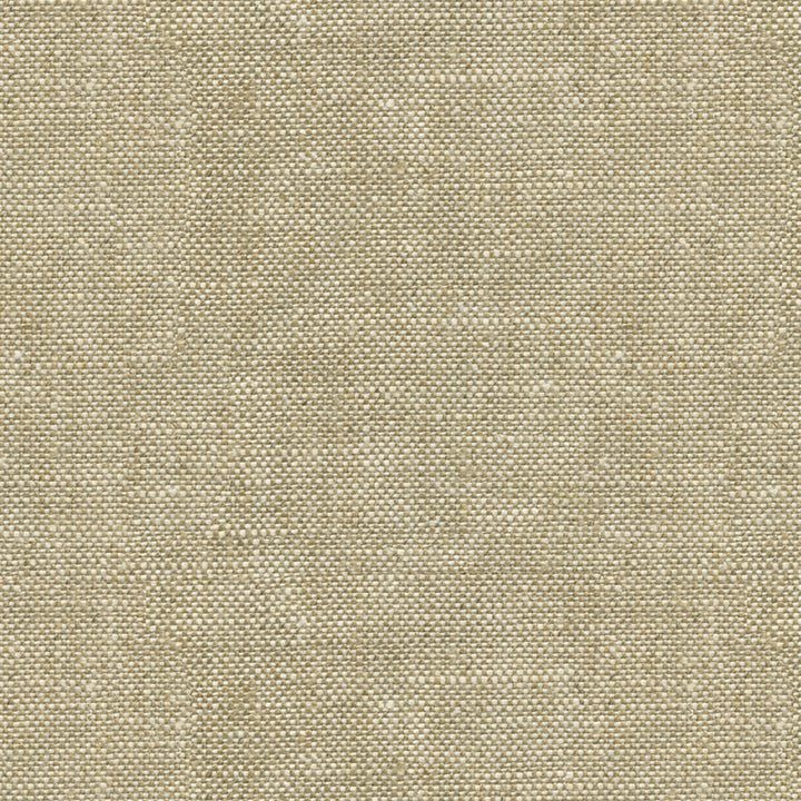Newport Buff by Threads Designer Fabric