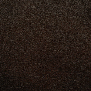 L-Portofin-Chocolate by Kravet Design Designer Fabric