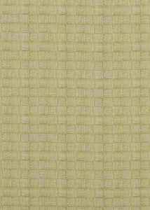Salsa Square Cashew by Baker Lifestyle Designer Fabric