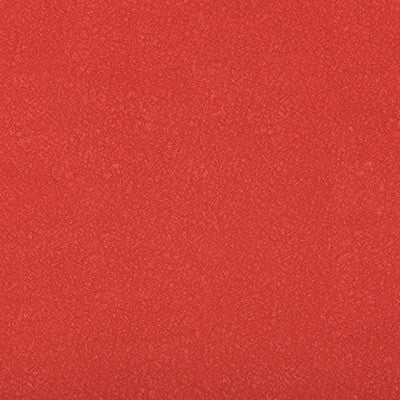 Ames Fiesta by Kravet Contract Designer Fabric