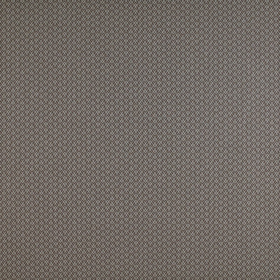 Chueca Marron by Gaston Y Daniela Designer Fabric