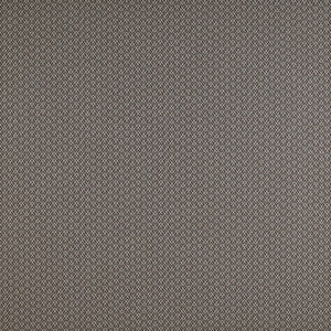 Chueca Marron by Gaston Y Daniela Designer Fabric