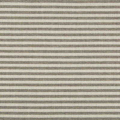 Rayas Stripe Soot by Groundworks Designer Fabric
