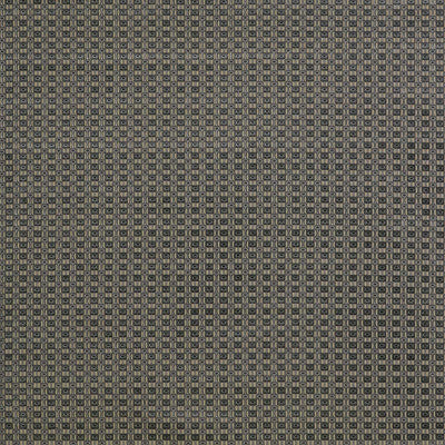 Ines Gris/Onyx by Gaston Y Daniela Designer Fabric