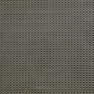Ines Gris/Onyx by Gaston Y Daniela Designer Fabric