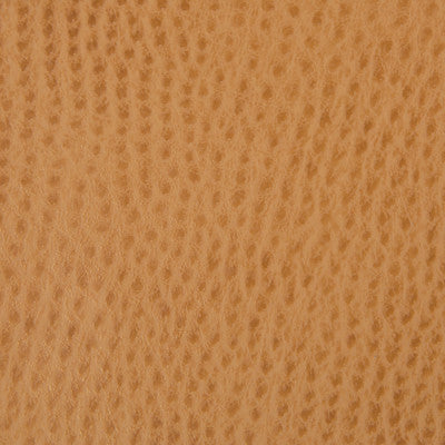 Kravet Contract Belus-4 by Kravet Contract Designer Fabric