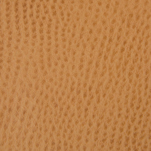 Kravet Contract Belus-4 by Kravet Contract Designer Fabric